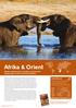 Afrika & Orient. Wildtiere, Naturwunder, Orientflair und spannende Begegnungen auf dem schwarzen Kontinent. Beste Reisezeit. 66 Afrika & Orient