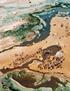 Dromedare an den Quellen in der rauen Chalbi-Wüste im Norden Kenias