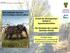 Erhalt der Biologischen Vielfalt in Agrarlandschaften. Die Strategie des Landes. BIOLOGISCHE VIELFALT Die Grundlage unseres Lebens