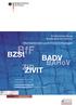 BZSt BADV ZIVIT. Oberbehörden und IT-Einrichtungen. Strukturentwicklung Bundesfinanzverwaltung. Fortentwicklung und Umsetzungsprozess I (August 2003)
