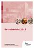 Sozialbericht2012. Landratsamt Karlsruhe Dezernat III- Mensch und Gesellschaft