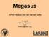 Megasus. 25 Perl Module die man kennen sollte. 18.03.05 Marcus Thiesen v 0.1 marcus@cpan.org
