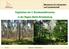 Ergebnisse der 3. Bundeswaldinventur in der Region Berlin-Brandenburg