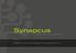 Synapcus. Synapse with your customers. Portal für social Projektmanagement, Marketing und Vertrieb