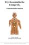Psychosomatische. Psychosomatische. Energetik. Psychosomatische. Energetik. Energetik
