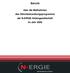 Bericht. über die Maßnahmen des Gleichbehandlungsprogramms der N-ERGIE Aktiengesellschaft im Jahr 2009