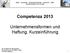 Competenza 2013. Unternehmensformen und Haftung, Kurzeinführung