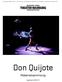 Don Quijote. Materialsammlung. Spielzeit 2010/11