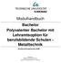 Modulhandbuch Bachelor Polyvalenter Bachelor mit Lehramtsoption für berufsbildende Schulen - Metalltechnik