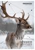 schnee gestöber Weihnachtskartenkollektion 2014