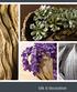 Silk & Decoration. The natural beauty of silk flowers. Natuurschoon in zijdebloemen. Silk & Decoration. Seidenblumen in natürlicher Schönheit