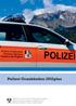 Polizei Graubünden 2015plus
