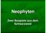 Neophyten. Zwei Beispiele aus dem Schwarzwald