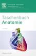 Benninghoff/Drenckhahn. Taschenbuch Anatomie. Herausgegeben von Detlev Drenckhahn und Jens Waschke