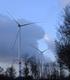 Windkraft und Artenschutz