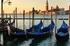 Venedig Grüne Lagunenstadt