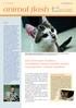 animal flash Ein Schweizer Problem: Verwilderte Katzen werden immer noch getötet anstatt kastriert! Eine Publikation der Nr. 23 März 2008 Editorial