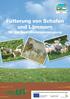 Fütterung von Schafen und Lämmern. für die Qualitätslammerzeugung