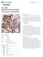 TTF-1 (EP229) Rabbit Monoclonal Primary Antibody