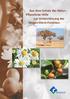 Aus dem Schatz der Natur- Pflanzliche Hilfe zur Unterstützung der Magen-Darm-Funktion