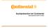 Suchtprävention bei Continental. Expertengespräch 28.06.10 in Berlin