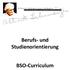 Berufs- und Studienorientierung. BSO-Curriculum