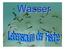 allgemeine Aussagen zum Wasser Aufgaben des Wassers Aggregatzustände Aufbau des Wassermoleküls