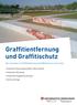 Graffitientfernung und Graffitischutz