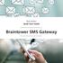 Rack Edition Quick Start Guide. Braintower SMS Gateway