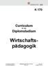 K 170. Curriculum für das Diplomstudium. Wirtschaftspädagogik