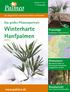 Winterharte Hanfpalmen ab Seite 7