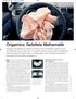 Origamics: Gefaltete Mathematik