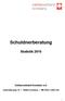 Schuldnerberatung Statistik 2015 Caritasverband Konstanz e.v. Uhlandstrasse 15 78464 Konstanz 07531-1200-100