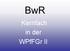 BwR. Kernfach in der WPfFGr II