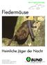 BUND-Projekt Fledermäuse. Heimliche Jäger der Nacht. Bund für Umwelt und Naturschutz Deutschland Landesverband Hamburg e. V.