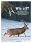 Wie alt? IM REVIER. Teil I: Muffel- und Rotwild