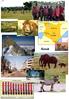 Tourismus in Kenia. Gliederung: Allgemein (Landeskunde Steckbrief) Attraktivität des Landes // Landschaft // Klima
