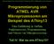 Programmierung von ATMEL AVR Mikroprozessoren am Beispiel des ATtiny13