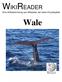 WIKIREADER. Eine Artikelsammlung aus Wikipedia, der freien Enzyklopädie. Wale
