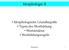 Morphologie II. Morphologische Grundbegriffe Typen der Wortbildung Wortstruktur Wortbildungsregeln. Morphologie II 1