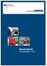 Einführung. Fahrleistungen. Fahrleistungen 2013. Summe: 27.228 2005 23,9 2006 25,8 2007 27,4 2008 27,6 2009 24,4 2010 25,7 2011 26,7 2012 26,6