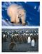 Leben im ewigen Eis: Eisbär und Pinguin. Vortragsdossier des WWF Schweiz