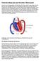 Elektrokardiogramm und Herztöne: Hintergrund