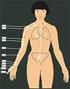 Teil 1: Akupunkturpunkte am Körper