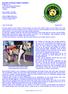 Dog and Cat Rescue Samui Foundation Brigitte Gomm 112/35 Moo 6 Bophut/Chaweng Samui 84320 Suratthani Thailand