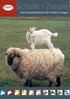 Text, Text. Schafe / Ziegen Garant-Qualitätsfutter für Schafe u. Ziegen