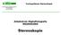 Vortragsthema Stereoskopie. Arbeitskreis Digitalfotografie WS2008/2009 bei Prof. Butz. Arbeitskreis Digitalfotografie WS2008/2009.