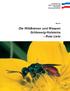 Die Wildbienen und Wespen Schleswig-Holsteins Rote Liste