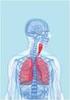 Außer Atem: Beteiligung der Lunge bei Sklerodermie