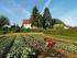 Klimawandel und Gemüseanbau am Oberrhein
